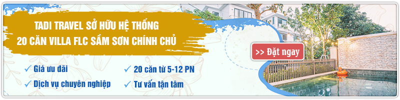 Hệ thống 20 căn